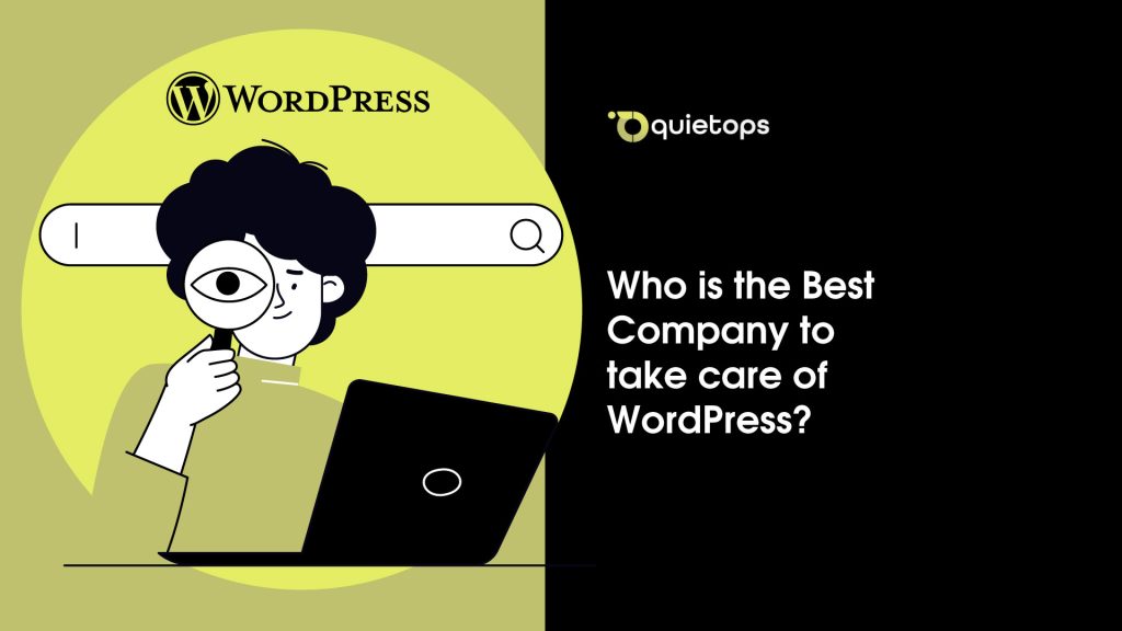 Best Company to take care of WordPress
