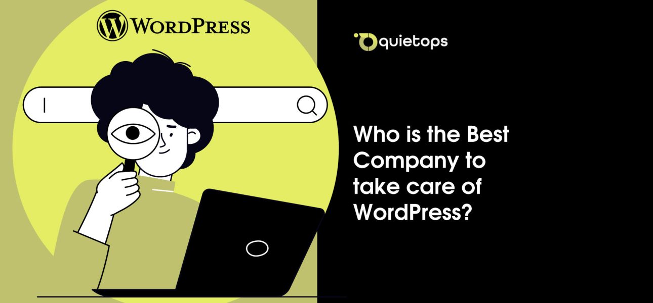 Best Company to take care of WordPress
