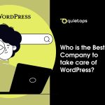 Best Company to take care of WordPress