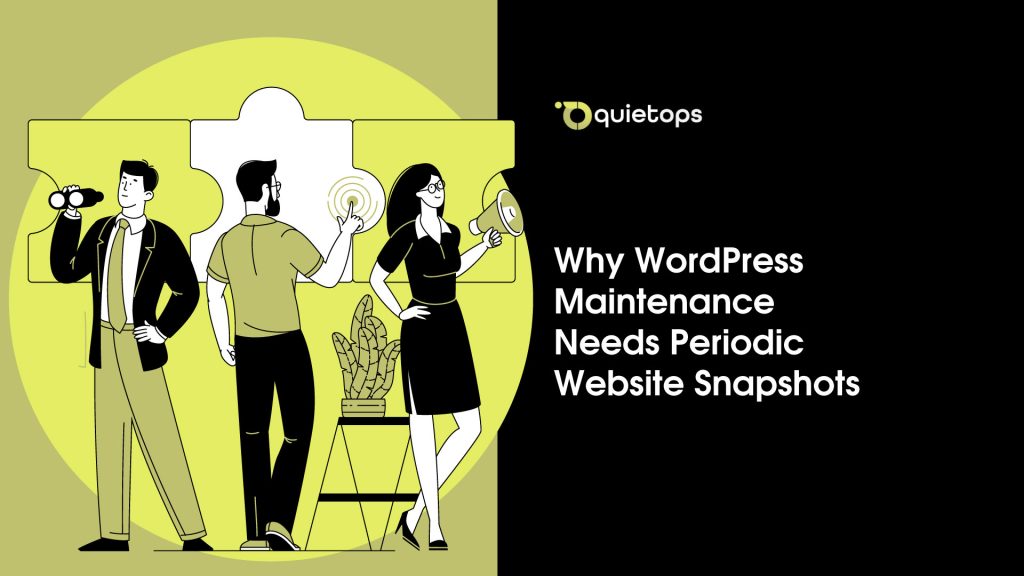 WordPress Maintenance Needs Periodic Website Snapshots