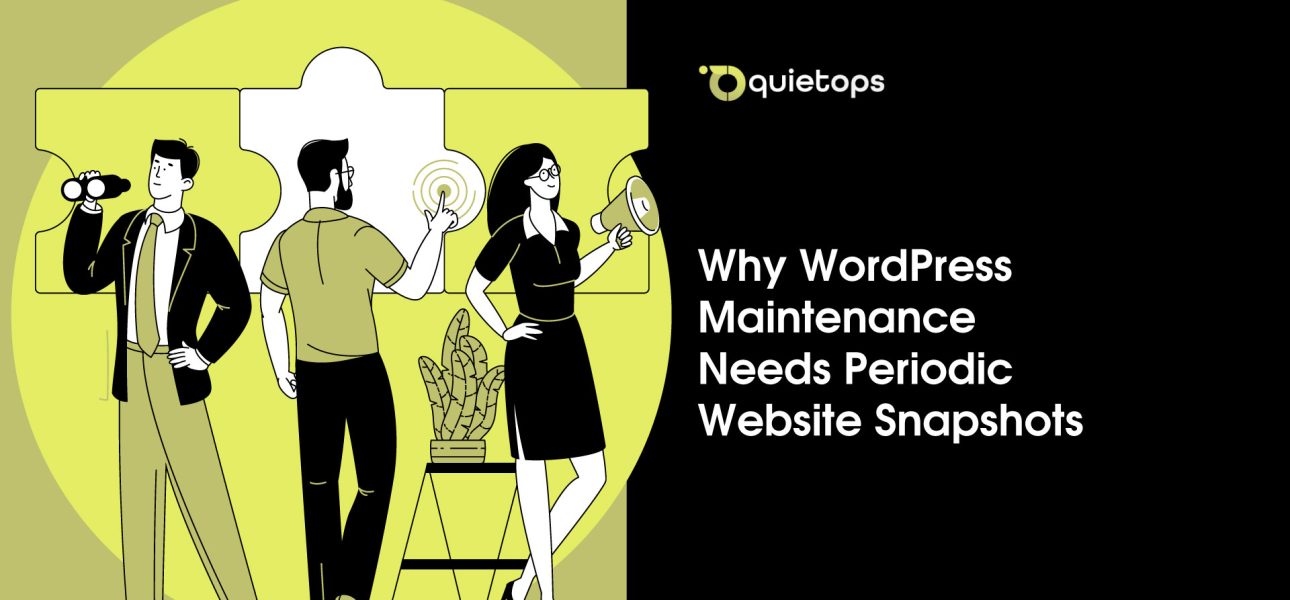 WordPress Maintenance Needs Periodic Website Snapshots