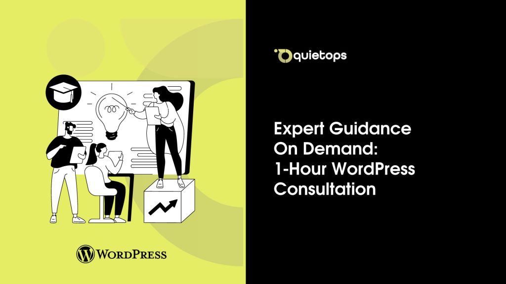 Expert Guidance On Demand 1 Hour WordPress Consultation