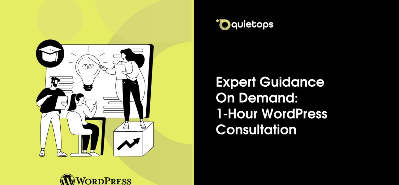 Expert Guidance On Demand 1 Hour WordPress Consultation