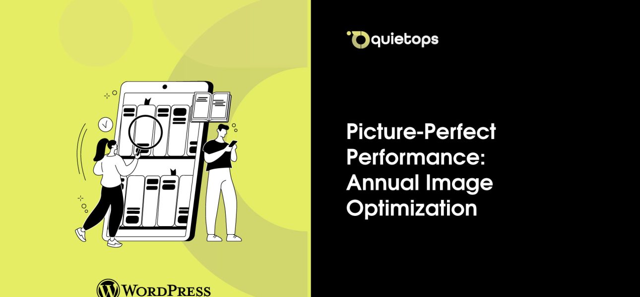Picture Perfect Performance QuietOps Annual Image Optimization